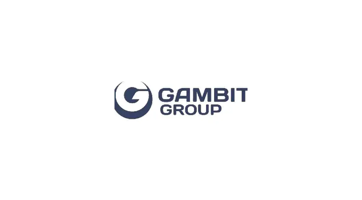 Gambit: Innovative Dichtungsmaterialien für industrielle Anwendungen